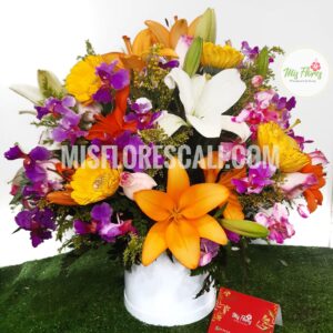 Arreglo En Base Ref #299