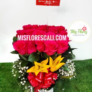 Arreglo En Base Ref #336