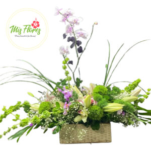Arreglo Floral de orquidea en canasta