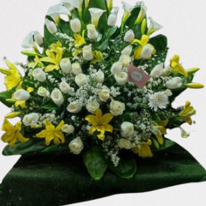 Fúnebre Blanco Amarillo