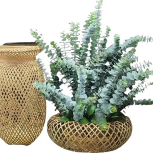 Canasto decorativo con eucalipto