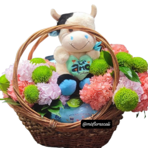 Canasta Baby shower con Hortensias