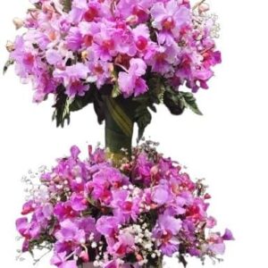 Arreglo En Orquideas