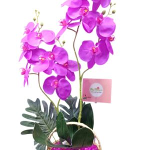 Planta Orquídea Artificial