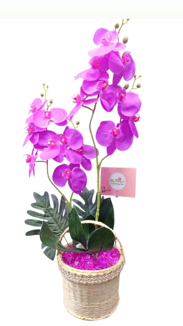 Planta Orquídea Artificial