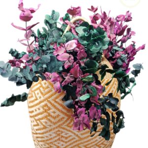 Canasto Artesanal Con Eucalipto