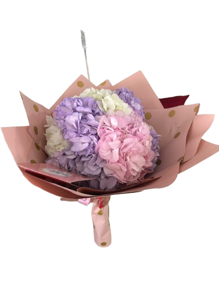 bouquet de hortensias ref 2020