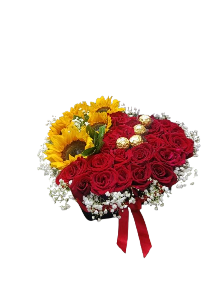 corazon radiante de amor ref2026