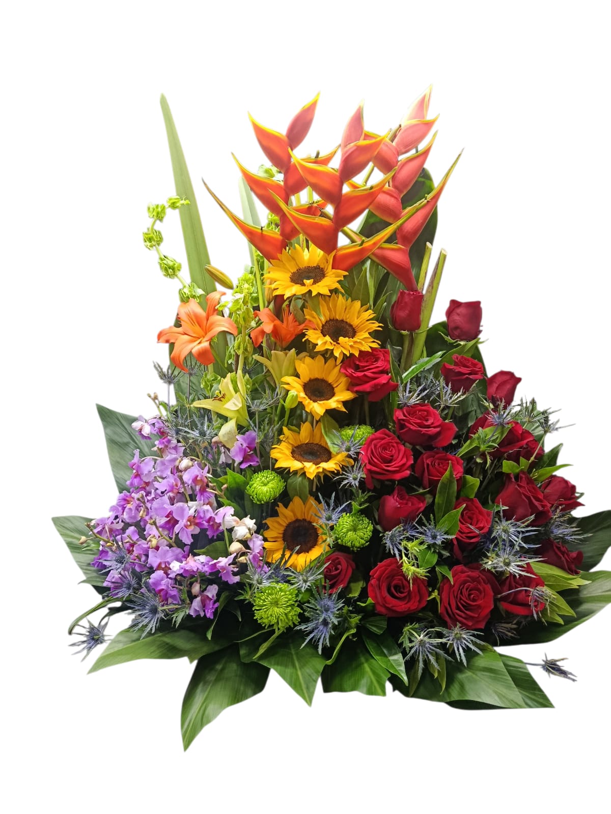 arreglo tropical ref 2055